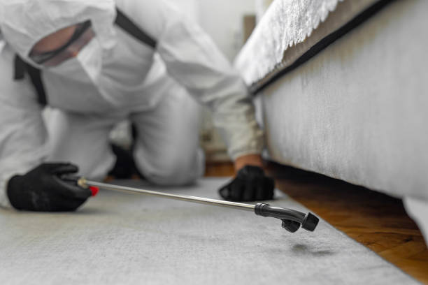 Professional Mosquito Control technician working in Madison, IL