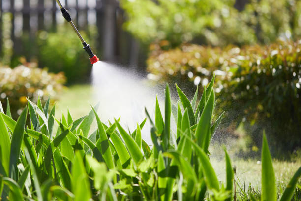 24/7 Emergency Mosquito Control experts in Madison, IL
