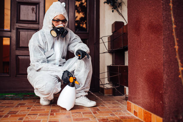Reliable Mosquito Control contractor in Madison, IL by Nex Pest Control